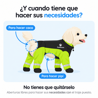 Impermeable 4 Patas: Tu Perro Seco y Visible