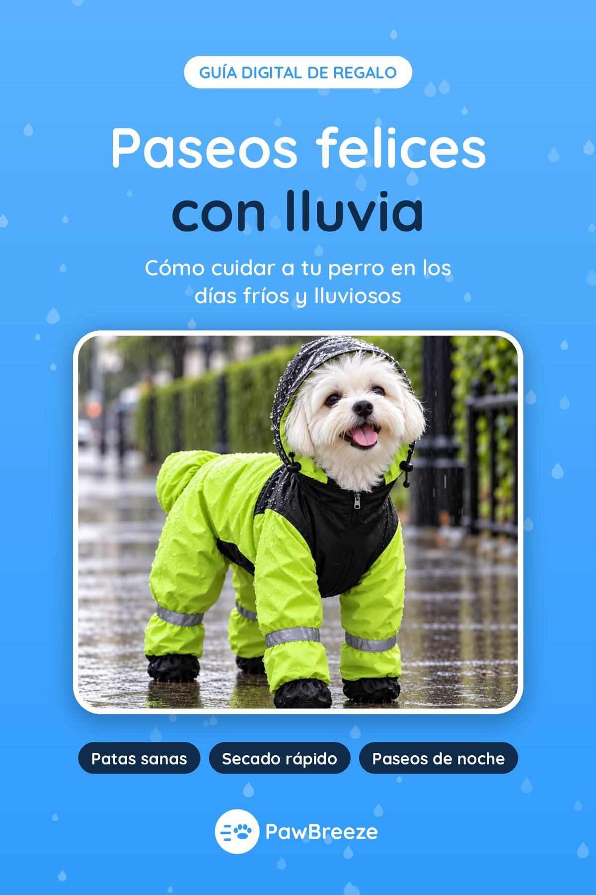 E-book Paseos felices con lluvia