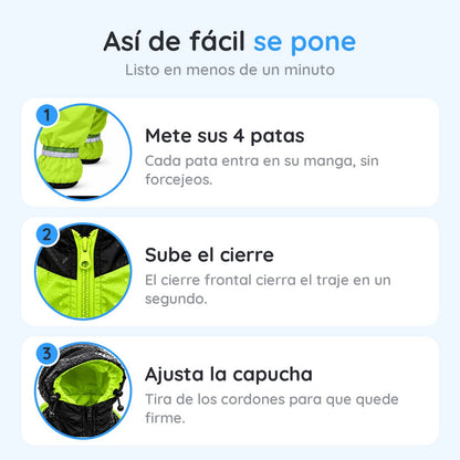 Impermeable 4 Patas: Tu Perro Seco y Visible